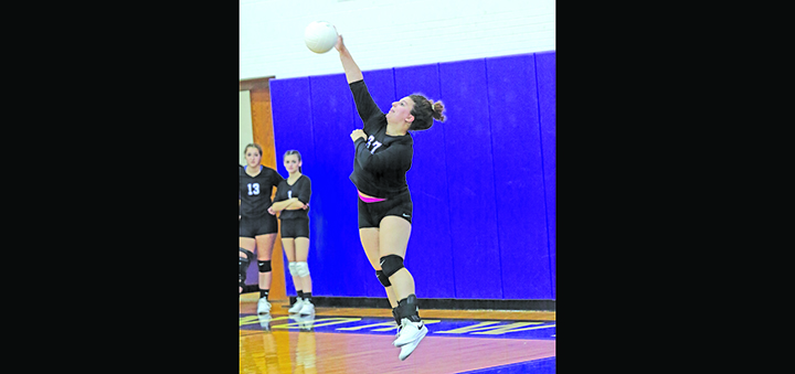 Norwich Volleyball Sweeps Away Blue Devils